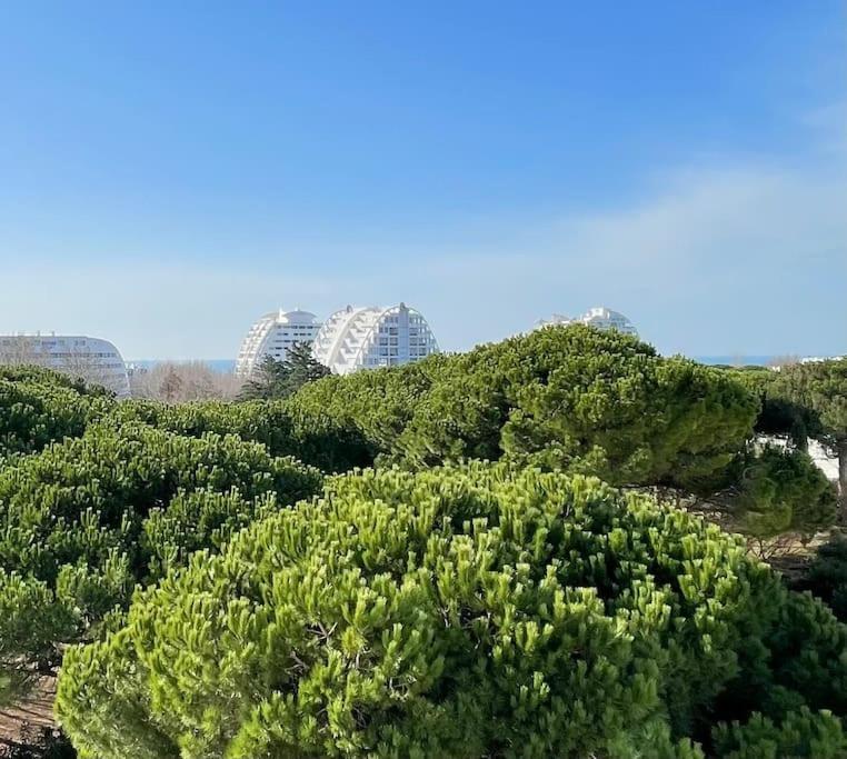 Les Jardins Du Couchant * Proche Mer * Climatisation * Parking Prive La Grande-Motte Exterior photo